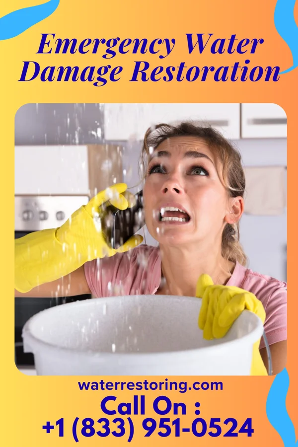 Emergency Water Damage Restoration in Lake Bronson, MN