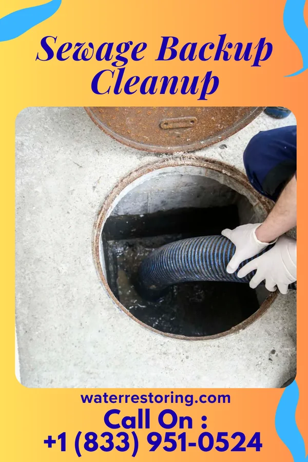 Sewage Backup Cleanup in Lake Bronson, MN